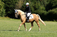 ARENA 2 - All dressage tests between 10:00 - 11:00