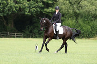 28.06.26 Area 15 Summer Dressage Qualifier, Usk Showground