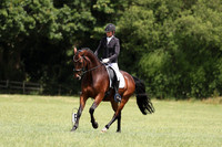 ARENA 2 - All dressage tests between 12:00 - 13:00