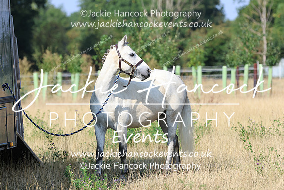 LAR_7095