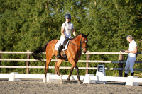 ARENA 2 - All Dressage Tests between: 19:00 - 20:00