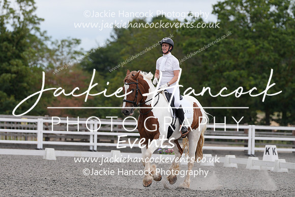 TMO00146