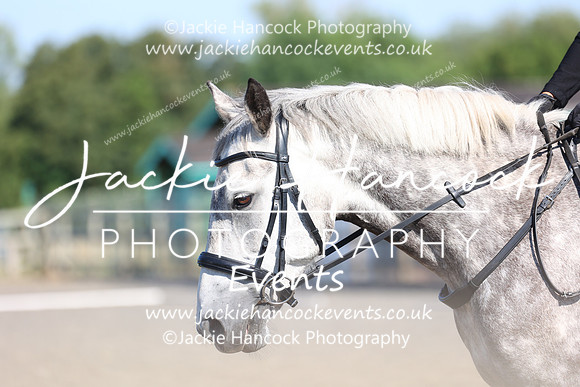 EJV_0315