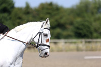 EJV_0907