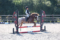 All Showjumping between 09:00 - 10:00