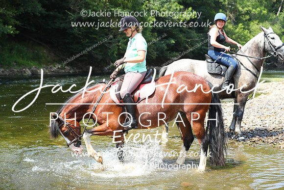 XC1_3100