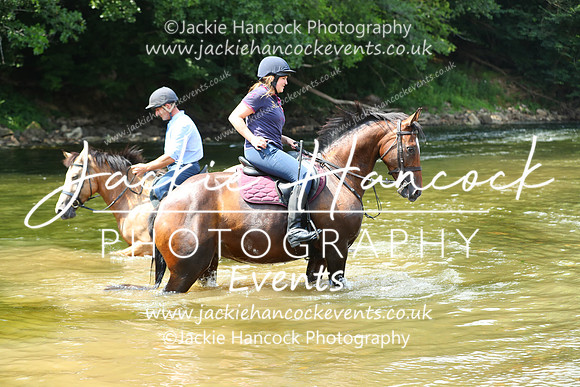 XC1_3178