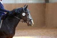 EJV_0344