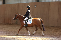 POOLLANDS ARENA - All Dressage Tests between 10:30 - 11:30