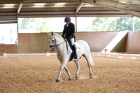 MAIN INT'L ARENA - All Dressage Tests between 09:30 - 10:30