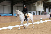 MAIN INT'L ARENA - All Dressage Tests between 10:30 - 11:30