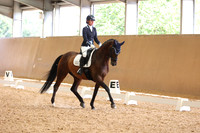MAIN INT'L ARENA - All Dressage Tests between 11:30 - 12:30