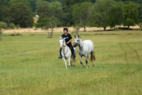 XC1_3981