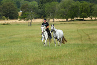XC1_3978