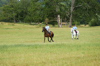 XC1_3989