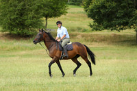 XC1_3994