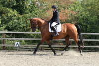 All Dressage tests between 10:00 - 11:00
