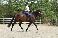 24.07.26 Combined Training, Dressage & Showjumping, Allens Hill Competition Centre