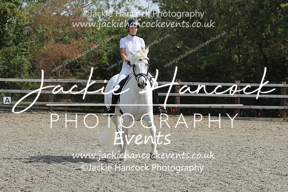 R6JH0397