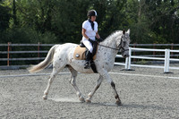 ARENA 2 (MAIN) - All Dressage Tests between 10:00 - 11:00