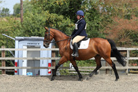 ARENA 1 (FRONT) - All Dressage Tests between 13:00 - 14:00