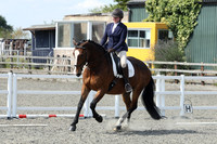 ARENA 2 (MAIN) - All Dressage Tests between 11:00 - 12:00