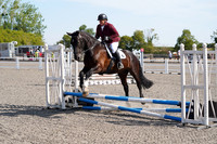 SHOWJUMPING - between 10:00 - 11:00
