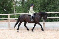 19 - Riding Horse/Pony