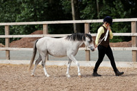 4 - Young Handler
