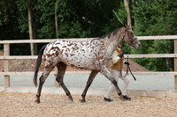 2 - Youngstock