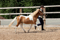 R6JH4319
