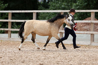 INHAND CHAMPIONSHIPS CLASSES 1 -9