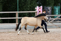 9 - Best Mare or Gelding