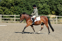 All Dressage tests between 09:00 - 10:00