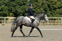 All Dressage tests between 10:00 - 11:00