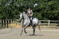 All Dressage tests between 11:00 - 12:00
