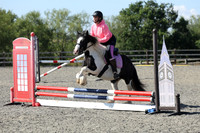 All Showjumping between 10:00 - 11:00