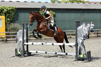 All Showjumping between 13:00 - 14:00