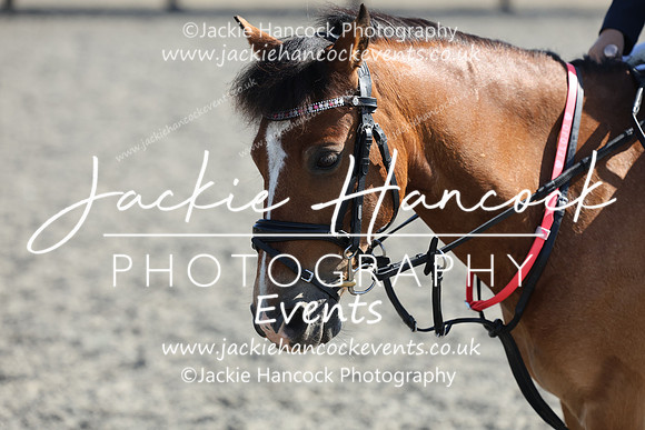 R6JH0319