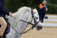 06.08.26 Cotswold Vale Pony Club Camp, Ace Cross Country