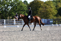 ARENA 1 - All Dressage Tests between 09:00 - 10:00