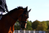 EJV_0276