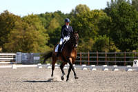ARENA 1 - All Dressage Tests between 11 - 00 - 12:00