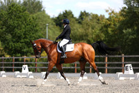 ARENA 1 - All Dressage Tests between 12:00 - 13:00