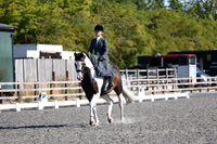 EJV_0026