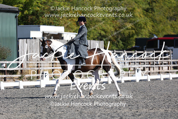 EJV_0041