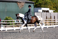 ARENA 2 - All Dressage Tests between 09:00 - 10:00