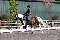07.08.26 British Dressage & Unaffiliated Dressage, Allens Hill Competition Centre