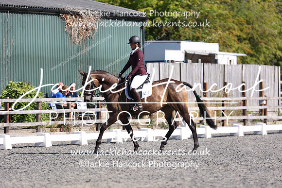 EJV_0241