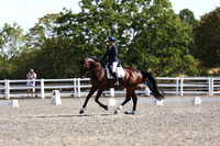 ARENA 1 - All Dressage Tests between 10:00 - 11:00